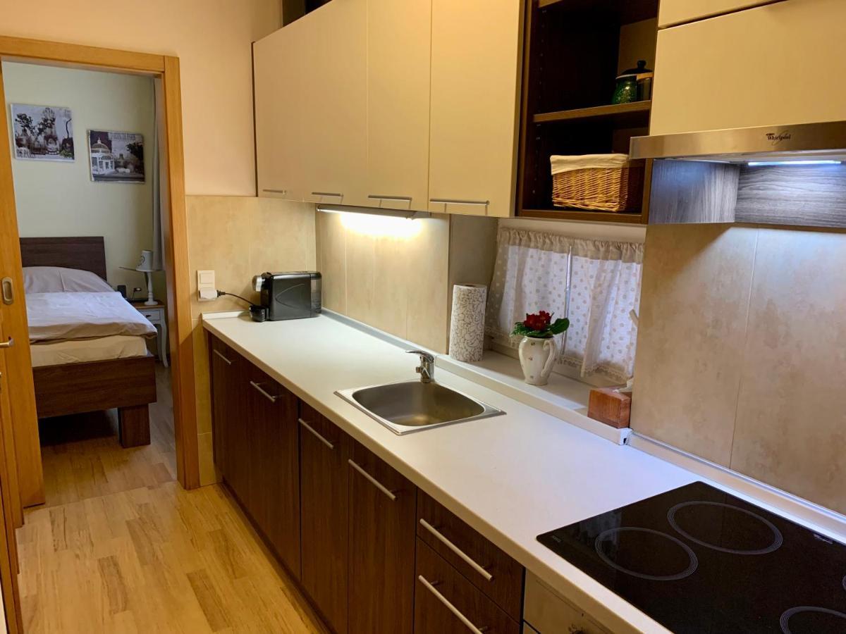 Park - Apartmany Na Prenajom Нове-Место-над-Вагом Экстерьер фото