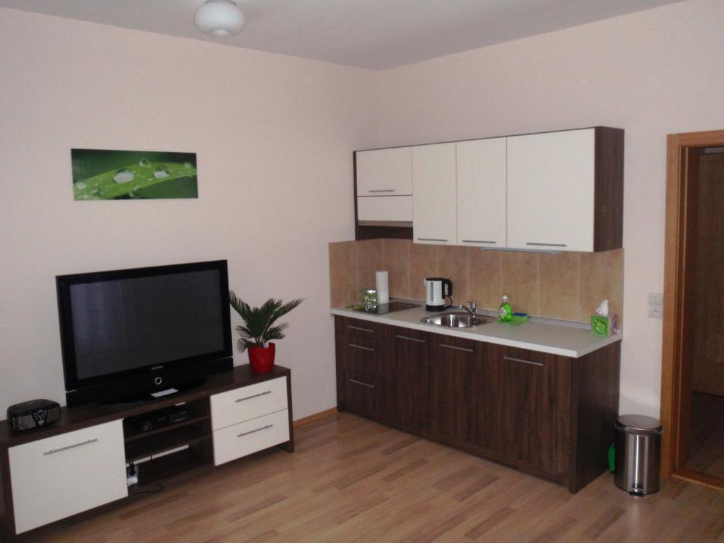 Park - Apartmany Na Prenajom Нове-Место-над-Вагом Номер фото